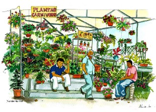  - Xochimilco, Mexique