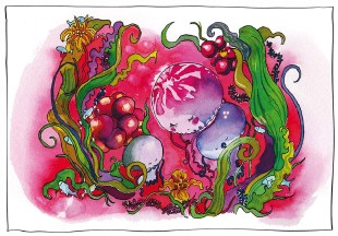  - Illustration for children's book, Zuzu The Little Jellyfish